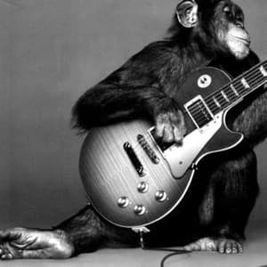 monkey playlist cover showing a monkey playing electric guitar